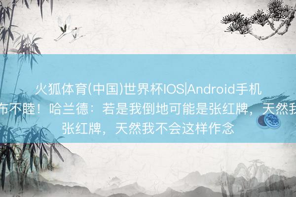 火狐体育(中国)世界杯IOS|Android手机app下载 与加布不睦！哈兰德：若是我倒地可能是张红牌，天然我不会这样作念