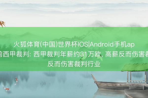 火狐体育(中国)世界杯IOS|Android手机app下载 前西甲裁判: 西甲裁判年薪约31万欧， 高薪反而伤害裁判行业