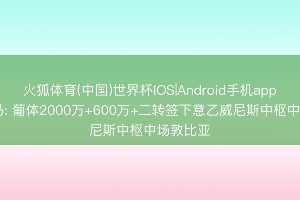 火狐体育(中国)世界杯IOS|Android手机app下载 迪马: 葡体2000万+600万+二转签下意乙威尼斯中枢中场敦比亚