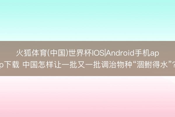 火狐体育(中国)世界杯IOS|Android手机app下载 中国怎样让一批又一批调治物种“涸鲋得水”?