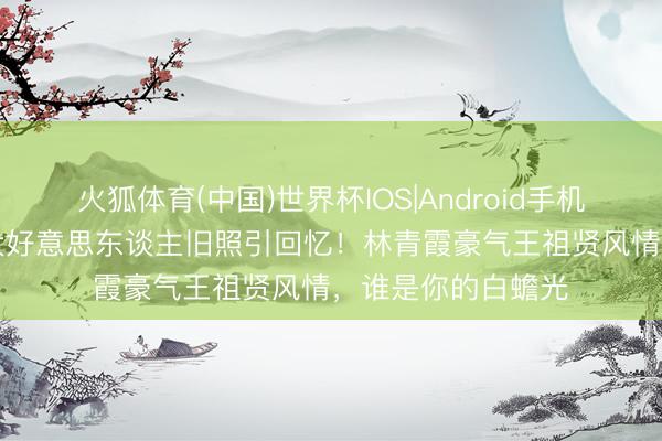 火狐体育(中国)世界杯IOS|Android手机app下载 港圈四大好意思东谈主旧照引回忆！林青霞豪气王祖贤风情，谁是你的白蟾光