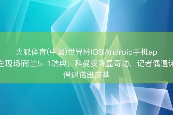 火狐体育(中国)世界杯IOS|Android手机app下载 在现场|荷兰5-1瑞典，科曼变阵显奇功，<a href=